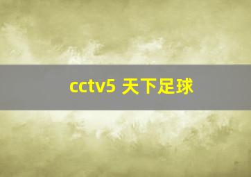 cctv5 天下足球